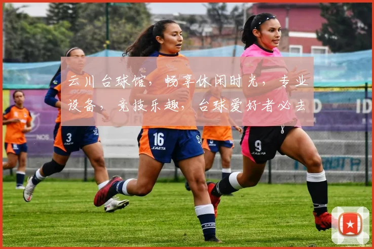 云川台球馆，畅享休闲时光，专业设备，竞技乐趣，台球爱好者必去之地，体验非凡