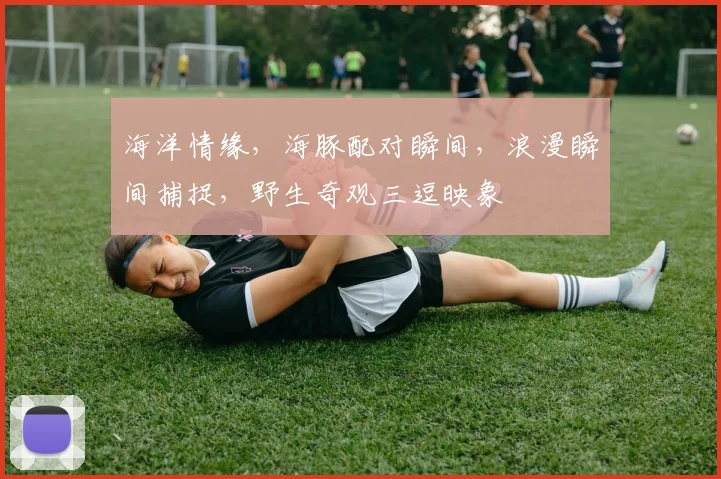 海洋情缘，海豚配对瞬间，浪漫瞬间捕捉，野生奇观三逗映象
