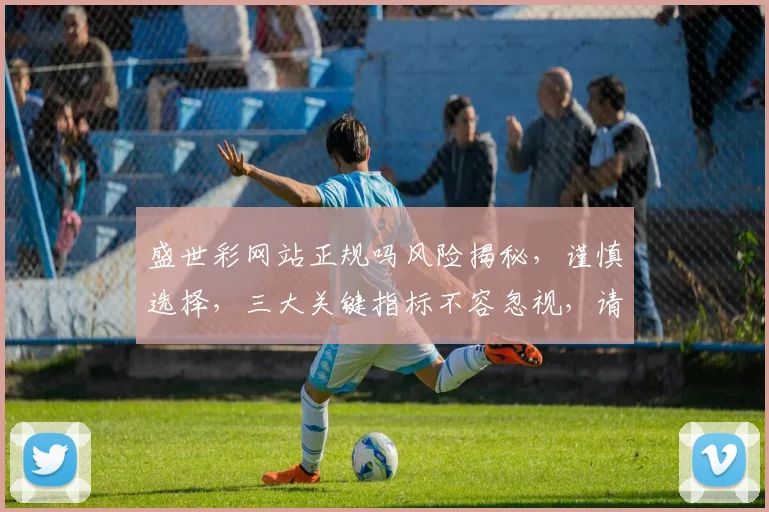 盛世彩网站正规吗风险揭秘，谨慎选择，三大关键指标不容忽视，请仔细辨别